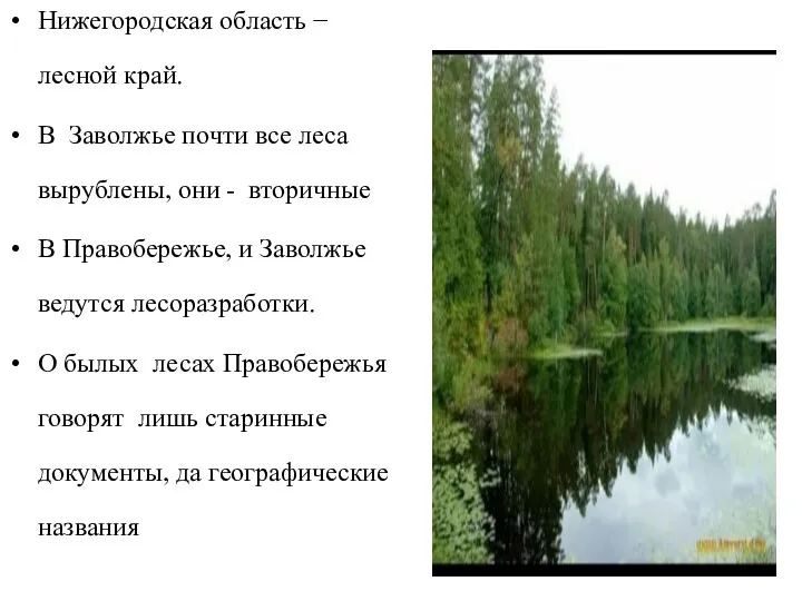 Нижегородская область − лесной край. В Заволжье почти все леса вырублены,