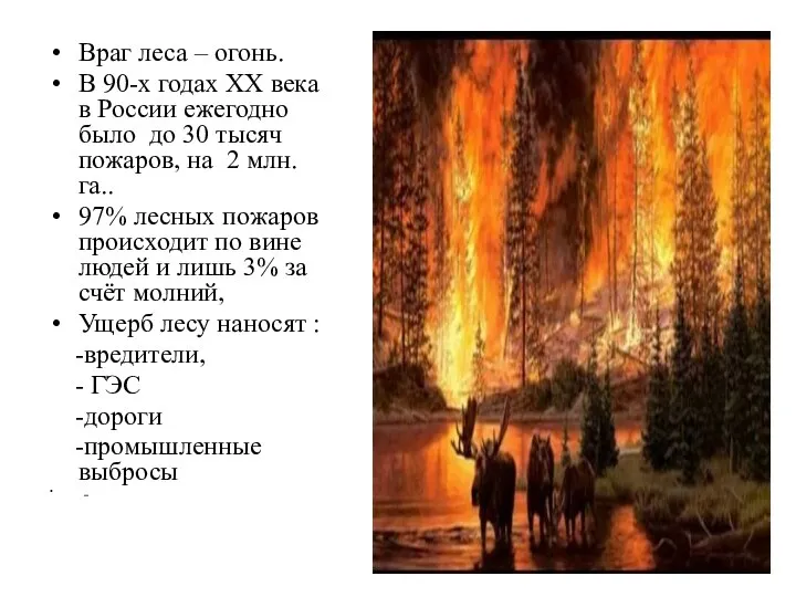 Враг леса – огонь. В 90-х годах XX века в России