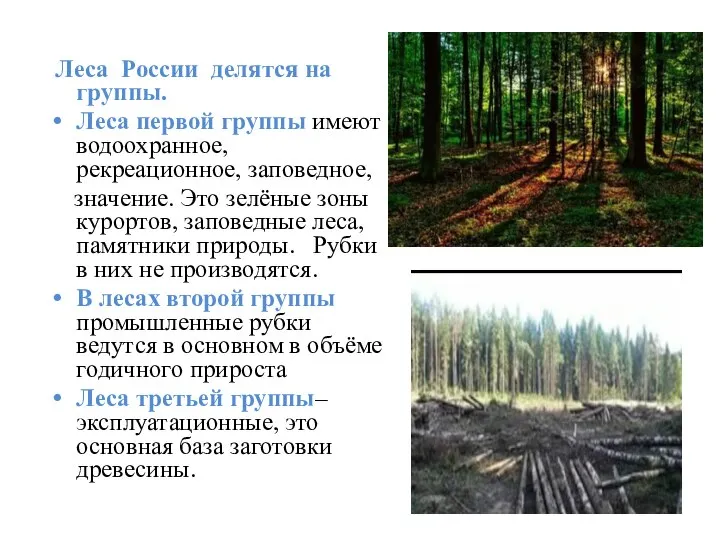 Леса России делятся на группы. Леса первой группы имеют водоохранное, рекреационное,