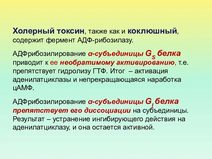 Холерный токсин, также как и коклюшный, содержит фермент АДФ-рибозилазу. АДФрибозилирование α-субъединицы