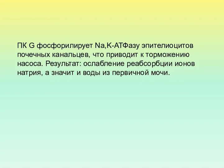 ПК G фосфорилирует Na,K-АТФазу эпителиоцитов почечных канальцев, что приводит к торможению