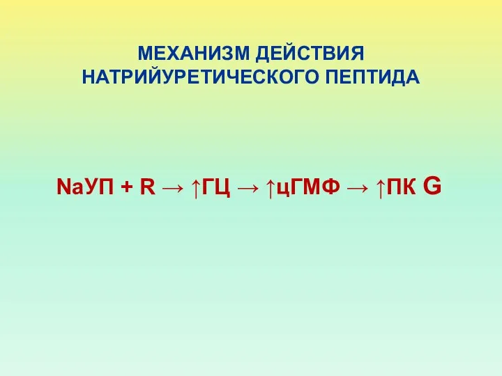 МЕХАНИЗМ ДЕЙСТВИЯ НАТРИЙУРЕТИЧЕСКОГО ПЕПТИДА NaУП + R → ↑ГЦ → ↑цГМФ → ↑ПК G