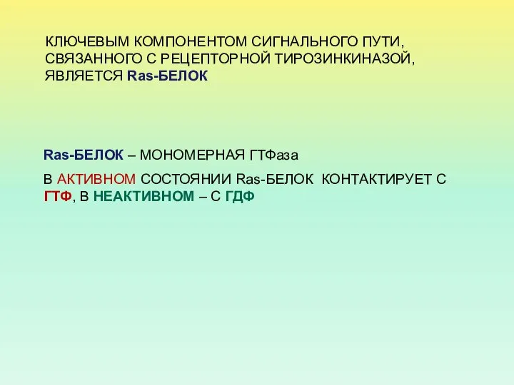 Ras-БЕЛОК – МОНОМЕРНАЯ ГТФаза В АКТИВНОМ СОСТОЯНИИ Ras-БЕЛОК КОНТАКТИРУЕТ С ГТФ,