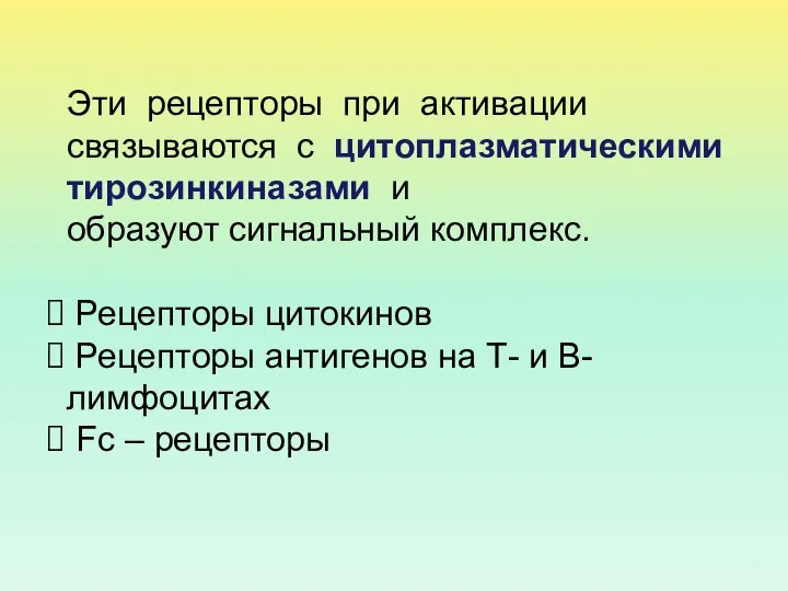 Эти рецепторы при активации связываются с цитоплазматическими тирозинкиназами и образуют сигнальный