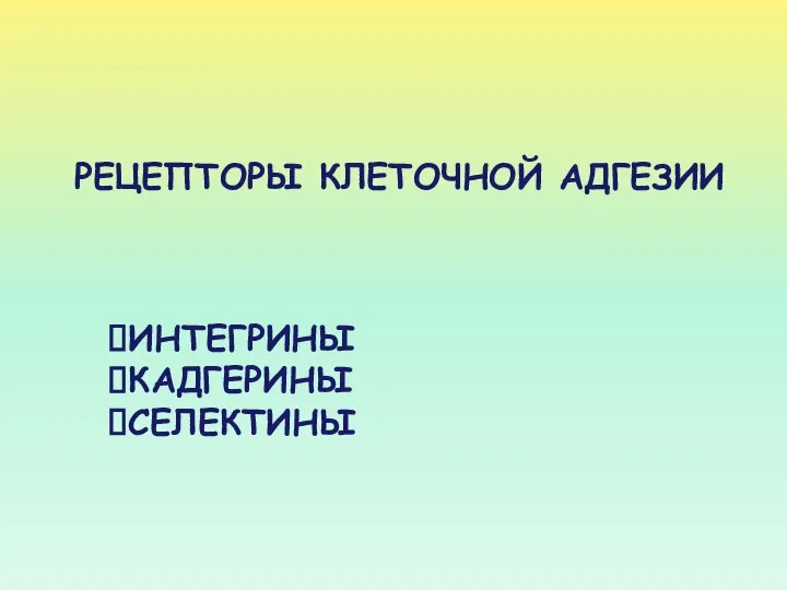 РЕЦЕПТОРЫ КЛЕТОЧНОЙ АДГЕЗИИ ИНТЕГРИНЫ КАДГЕРИНЫ СЕЛЕКТИНЫ