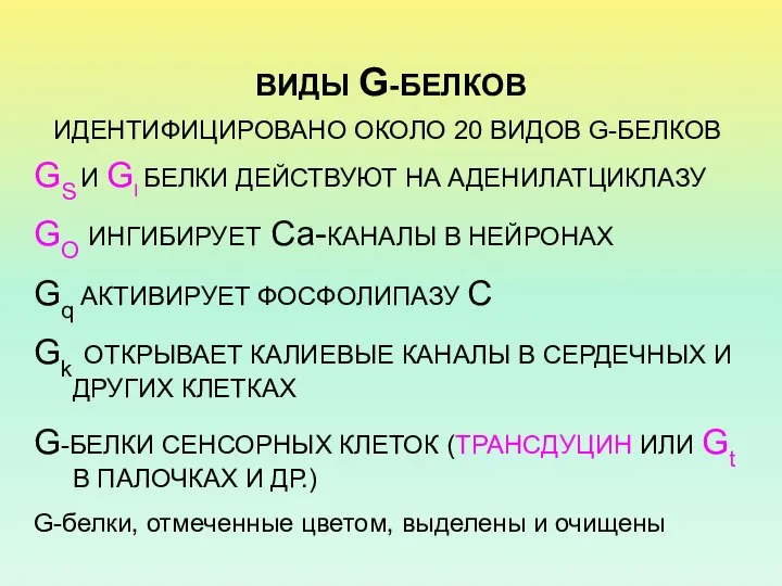 ВИДЫ G-БЕЛКОВ ИДЕНТИФИЦИРОВАНО ОКОЛО 20 ВИДОВ G-БЕЛКОВ GS И GI БЕЛКИ