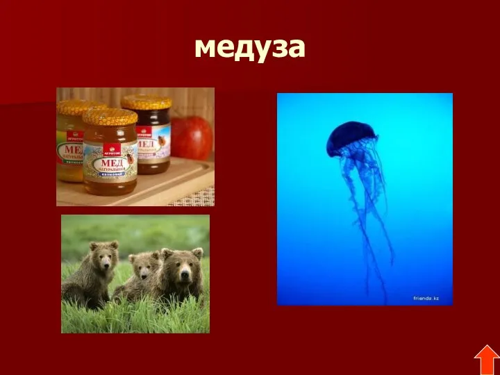 медуза