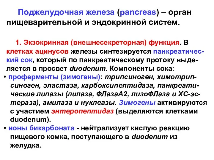 Поджелудочная железа (pancreas) – орган пищеварительной и эндокринной систем. 1. Экзокринная