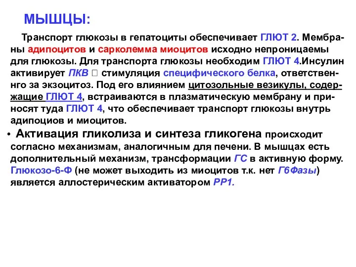 МЫШЦЫ: Транспорт глюкозы в гепатоциты обеспечивает ГЛЮТ 2. Мембра- ны адипоцитов