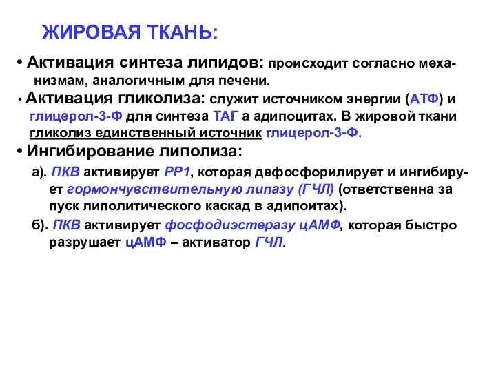 ЖИРОВАЯ ТКАНЬ: Активация синтеза липидов: происходит согласно меха- низмам, аналогичным для