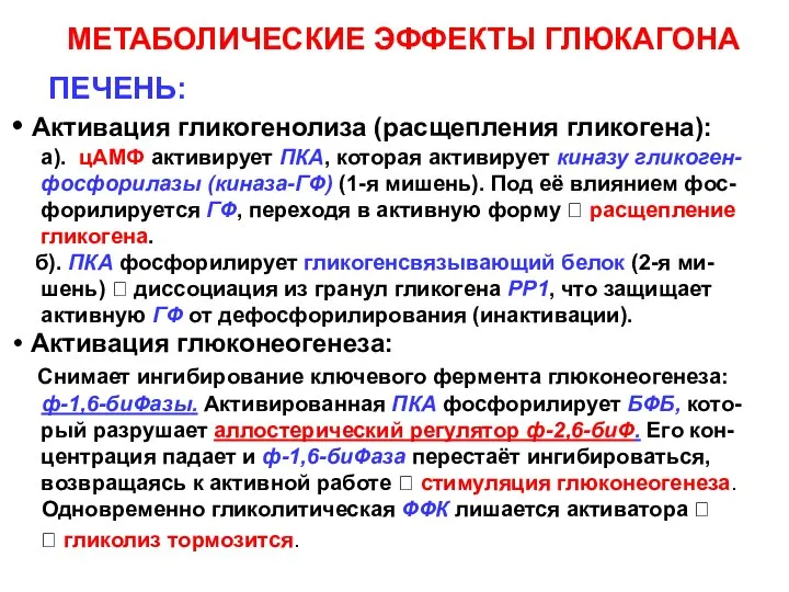 МЕТАБОЛИЧЕСКИЕ ЭФФЕКТЫ ГЛЮКАГОНА ПЕЧЕНЬ: Активация гликогенолиза (расщепления гликогена): а). цАМФ активирует