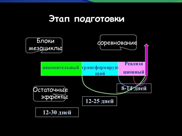 накопительный трансформирующий Реализа ционный Остаточные эффекты соревнование Блоки мезоциклы 12-30 дней