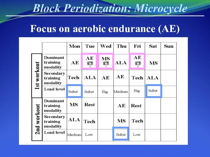 Block Periodization: Microcycle Focus on aerobic endurance (AE) . . . . . .