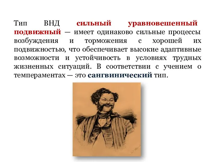 Тип ВНД сильный уравновешенный подвижный — имеет одинаково сильные процессы возбуждения