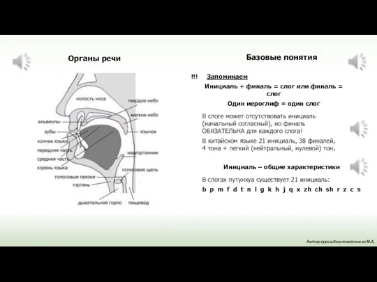 Органы речи Базовые понятия !!! Запоминаем Инициаль + финаль = слог