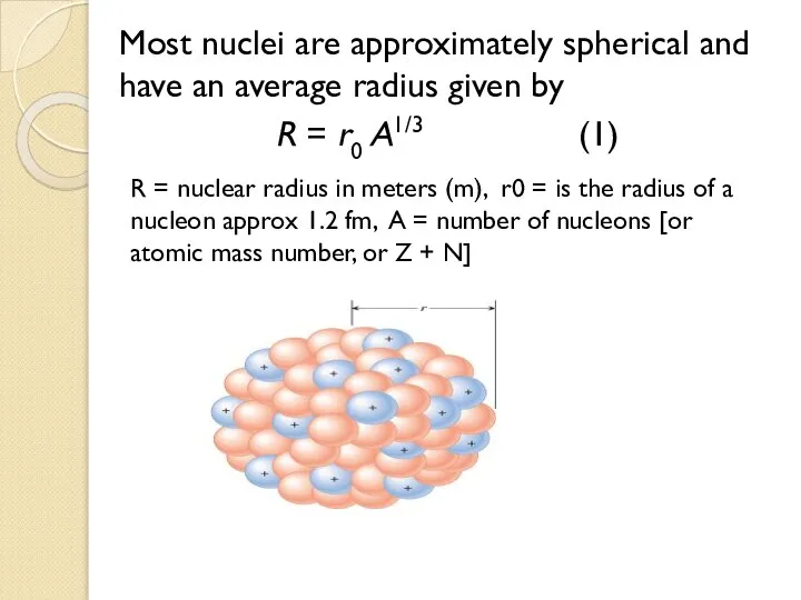 Most nuclei are approximately spherical and have an average radius given