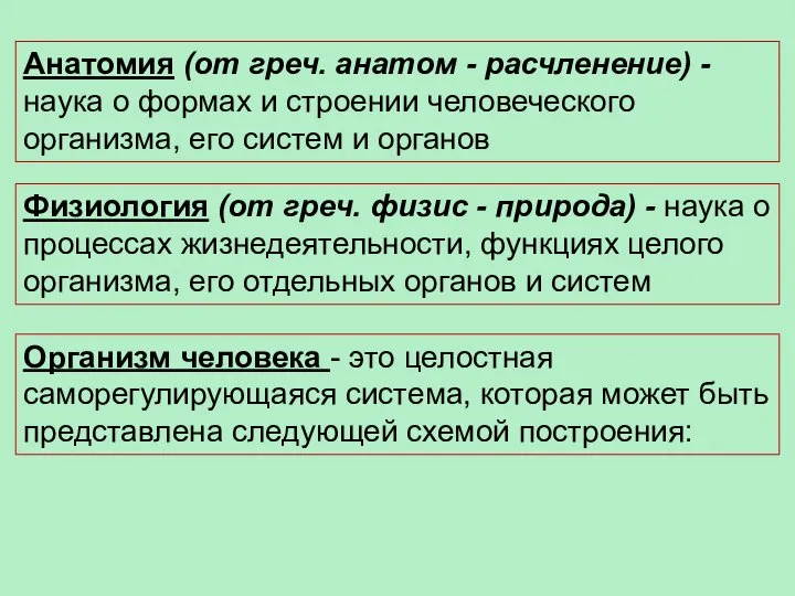 Организм человека - это целостная саморегулирующаяся система, которая может быть представлена