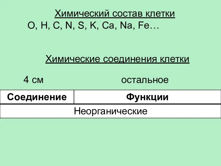 Химический состав клетки O, H, C, N, S, K, Ca, Na,