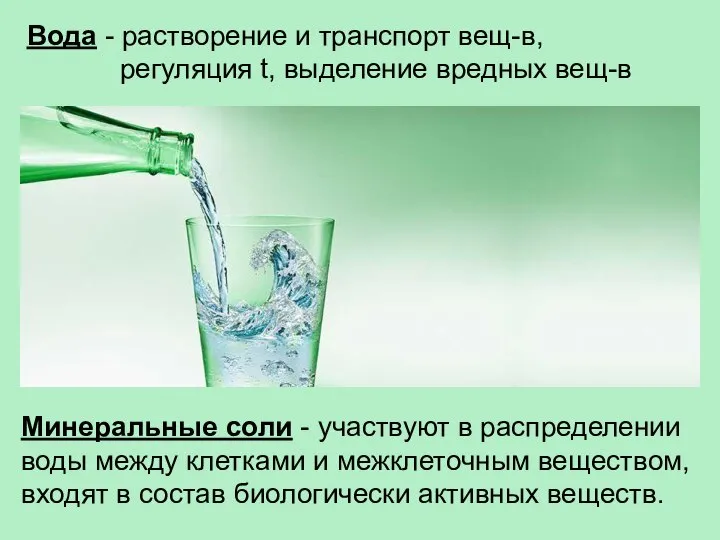 Вода - растворение и транспорт вещ-в, регуляция t, выделение вредных вещ-в