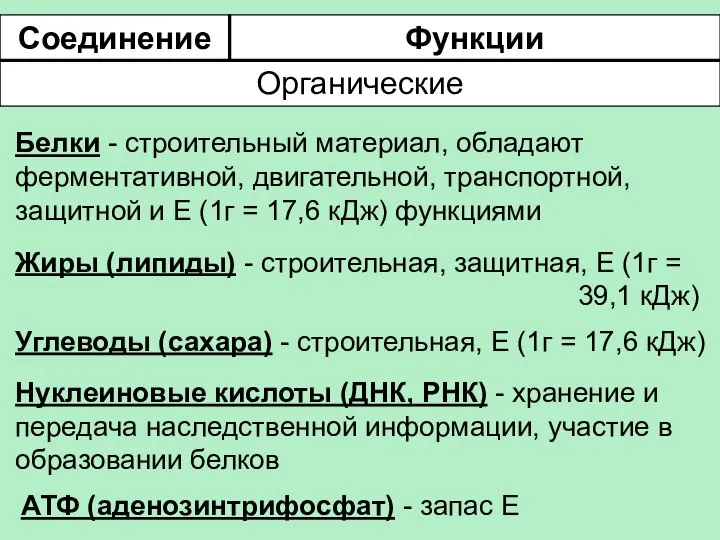 Белки - строительный материал, обладают ферментативной, двигательной, транспортной, защитной и Е