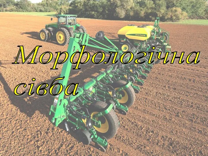 Морфологічна сівба