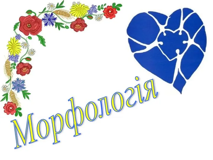 Морфологія