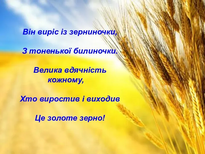 Він виріс із зерниночки, З тоненької билиночки. Велика вдячність кожному, Хто