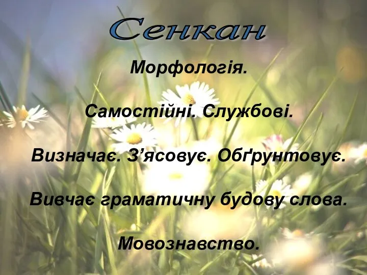 Морфологія. Самостійні. Службові. Визначає. З’ясовує. Обґрунтовує. Вивчає граматичну будову слова. Мовознавство. Сенкан