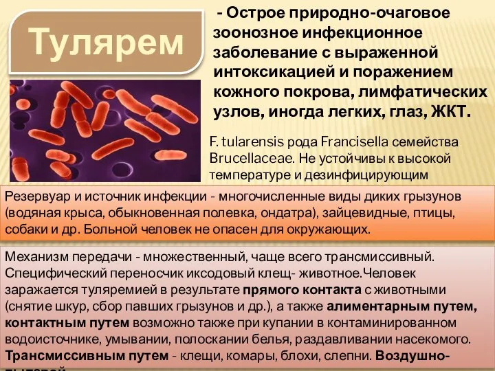 Туляремия - Острое природно-очаговое зоонозное инфекционное заболевание с выраженной интоксикацией и