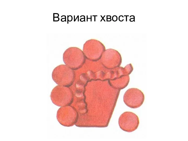 Вариант хвоста