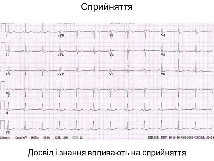 Сприйняття Досвід і знання впливають на сприйняття