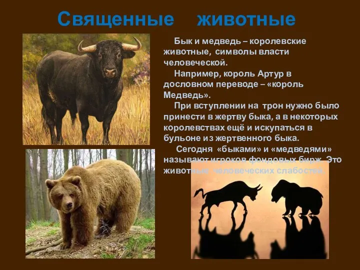 Священные животные Бык и медведь – королевские животные, символы власти человеческой.