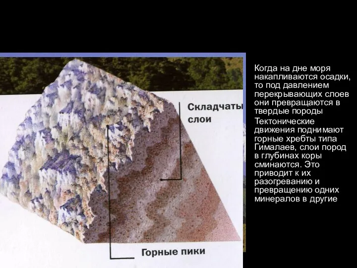 Когда на дне моря накапливаются осадки, то под давлением перекрывающих слоев