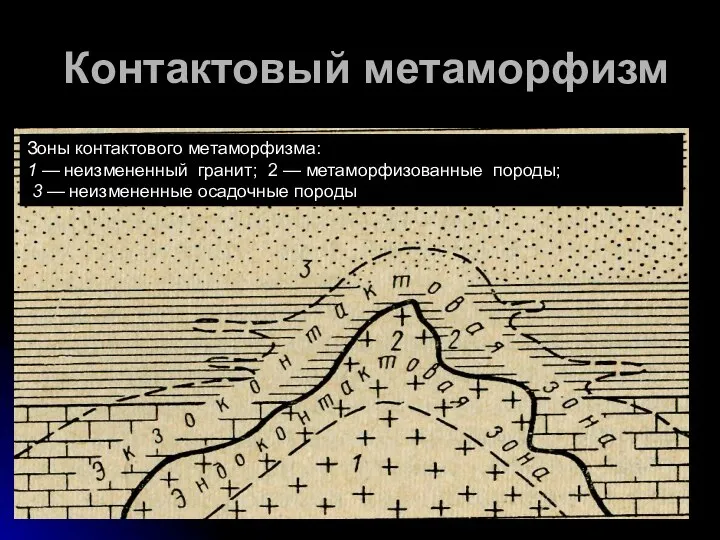 Контактовый метаморфизм - возникает в результате сложных физико-химических процессов, на границе,