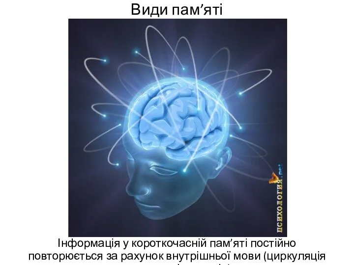 Види пам’яті Інформація у короткочасній пам’яті постійно повторюється за рахунок внутрішньої мови (циркуляція нервових імпульсів)