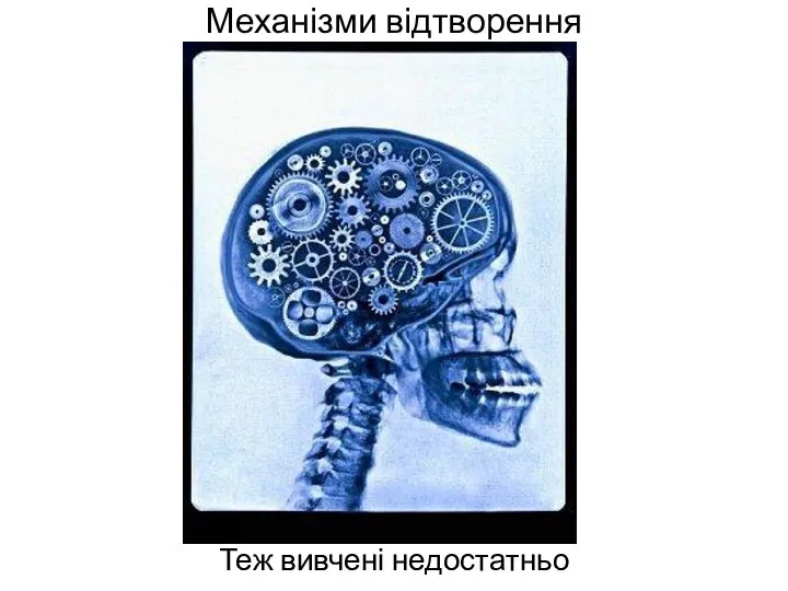 Механізми відтворення Теж вивчені недостатньо