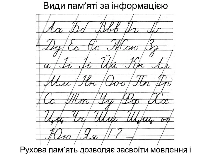 Види пам’яті за інформацією Рухова пам’ять дозволяє засвоїти мовлення і письмо