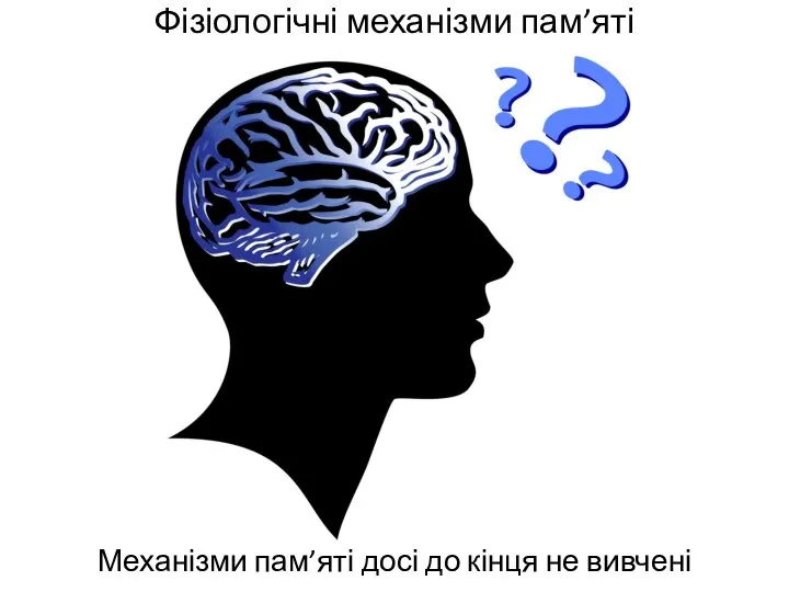 Фізіологічні механізми пам’яті Механізми пам’яті досі до кінця не вивчені