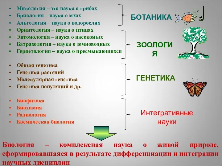 Микология – это наука о грибах Бриология – наука о мхах