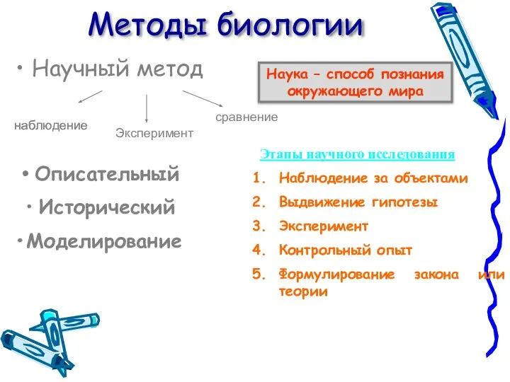 Методы биологии Научный метод наблюдение Эксперимент сравнение Описательный Исторический Моделирование Этапы