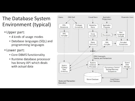 The Database System Environment (typical) Upper part: 4 kinds of usage