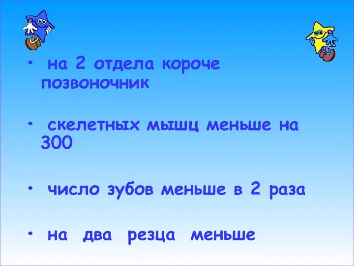 на 2 отдела короче позвоночник скелетных мышц меньше на 300 число