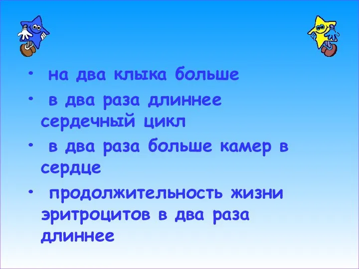 на два клыка больше в два раза длиннее сердечный цикл в