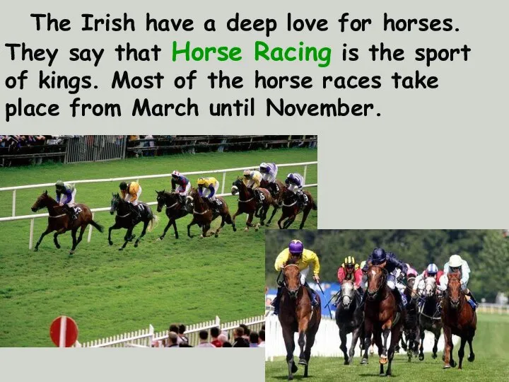 The Irish have a deep love for horses. They say that