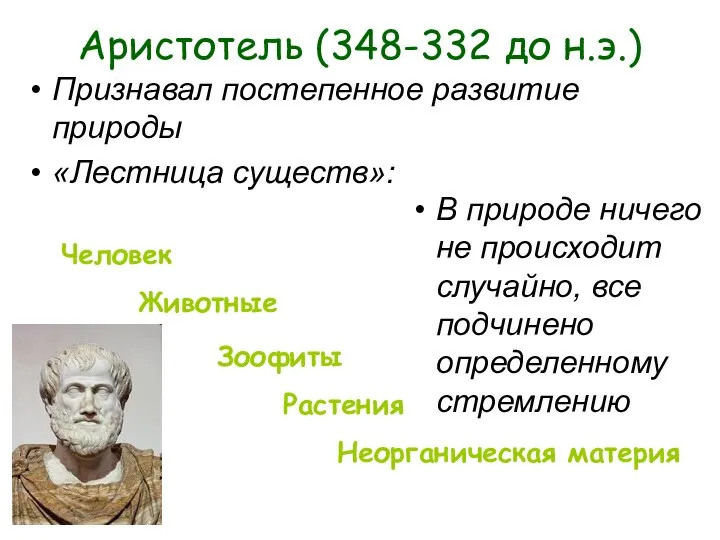 Аристотель (348-332 до н.э.) Признавал постепенное развитие природы «Лестница существ»: В