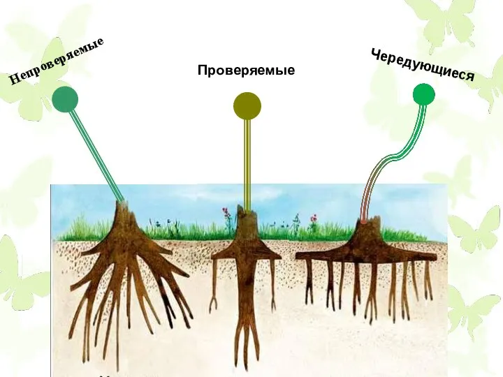 Непроверяемые Проверяемые Чередующиеся