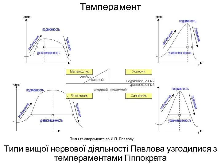 Темперамент Типи вищої нервової діяльності Павлова узгодилися з темпераментами Гіппократа