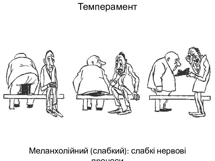 Темперамент Меланхолійний (слабкий): слабкі нервові процеси