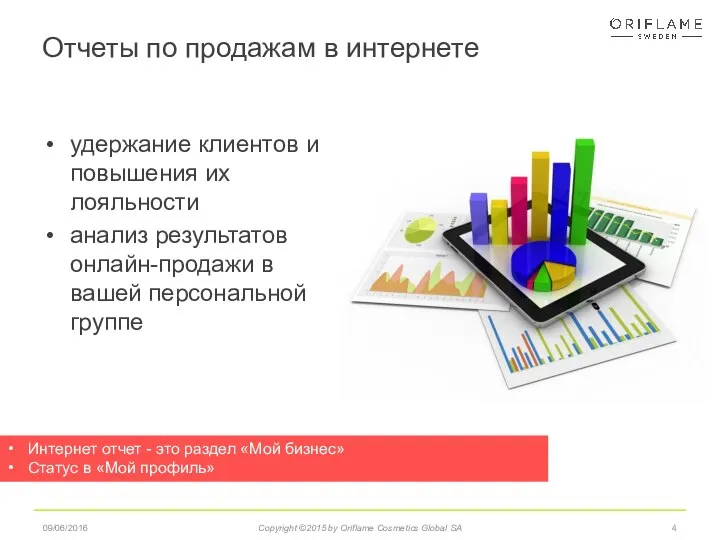 Отчеты по продажам в интернете Интернет отчет - это раздел «Мой