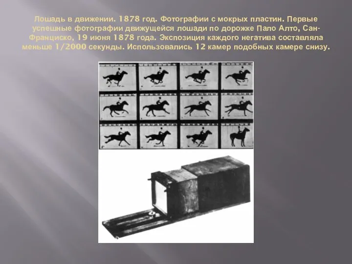 Лошадь в движении. 1878 год. Фотографии с мокрых пластин. Первые успешные